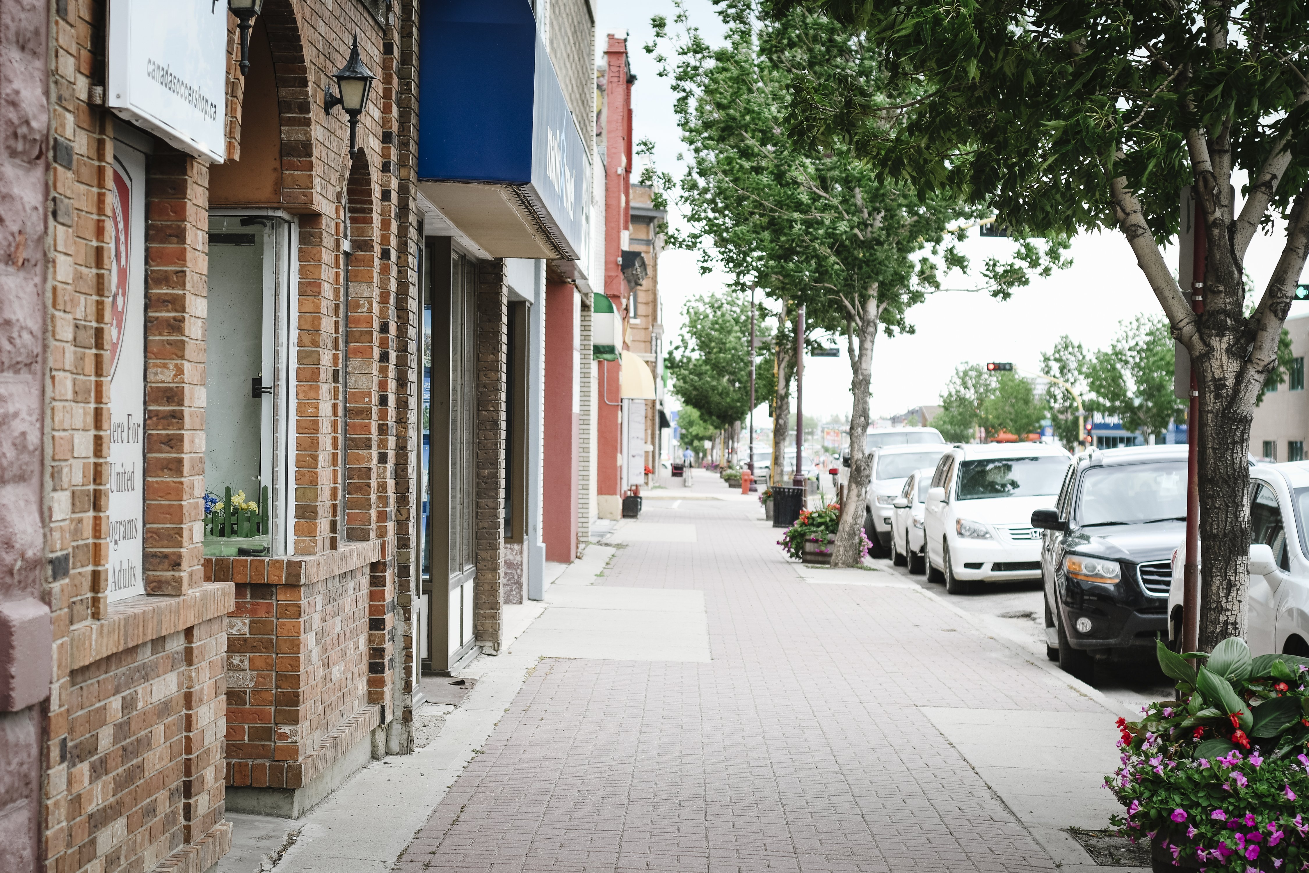 Street with businesses and signs