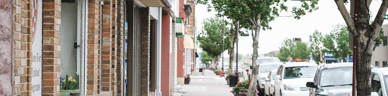 street with trees and store signs