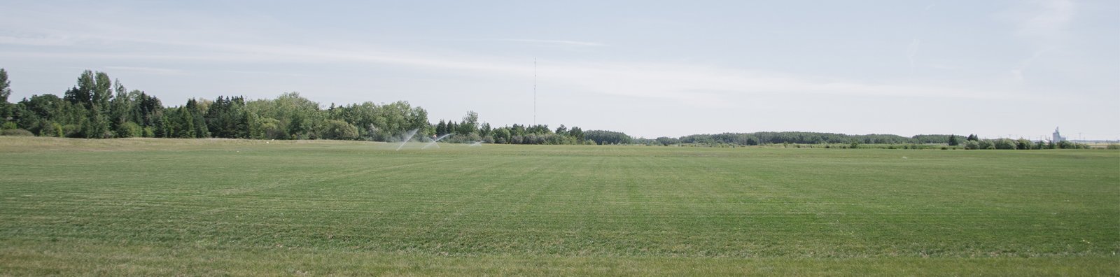 soccer field