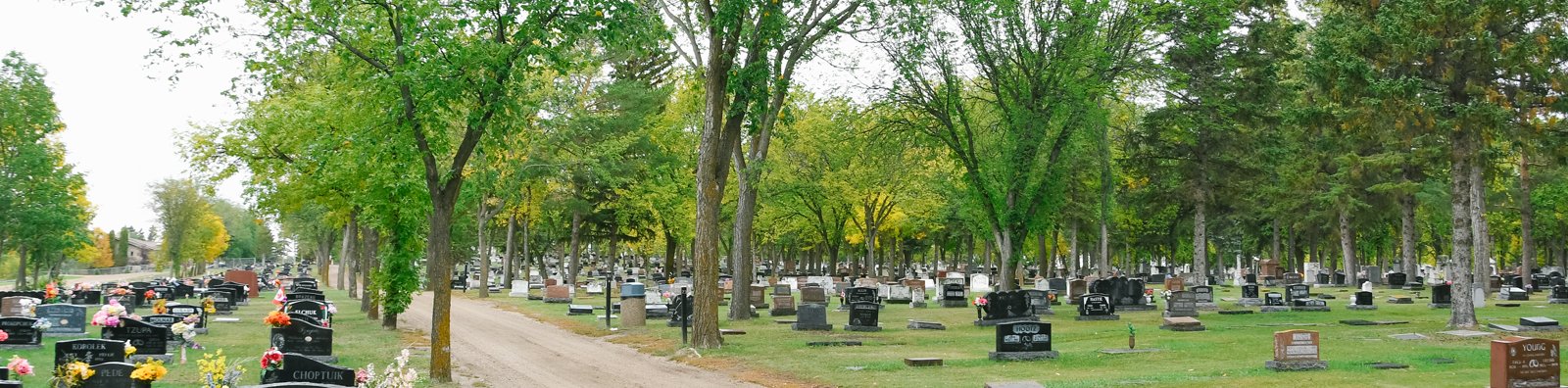 grave stones, pathway and trees