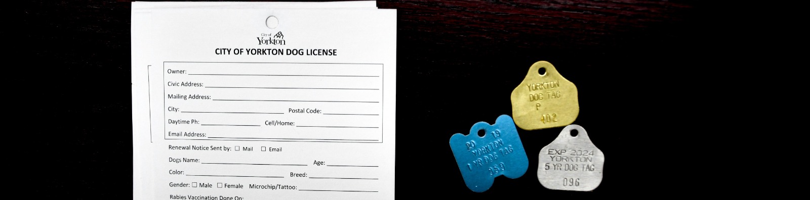 Dog licence tags and form