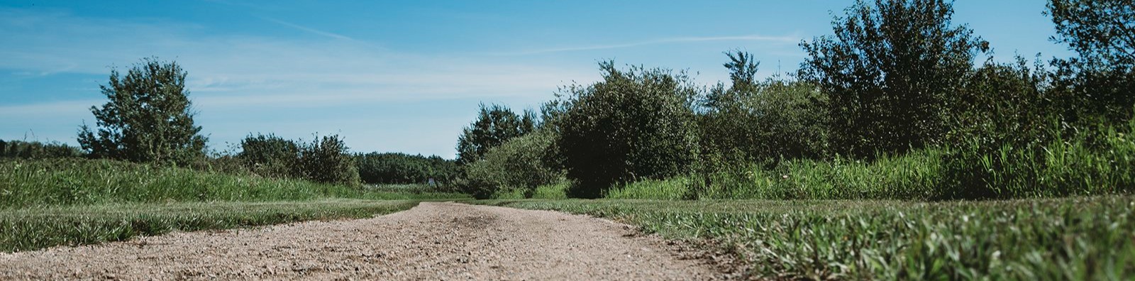 gravel road with trees and blue sky