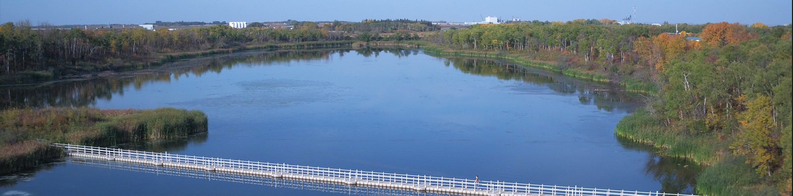 aerial of water and bridge