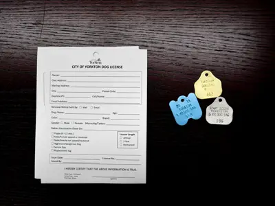 Dog licence