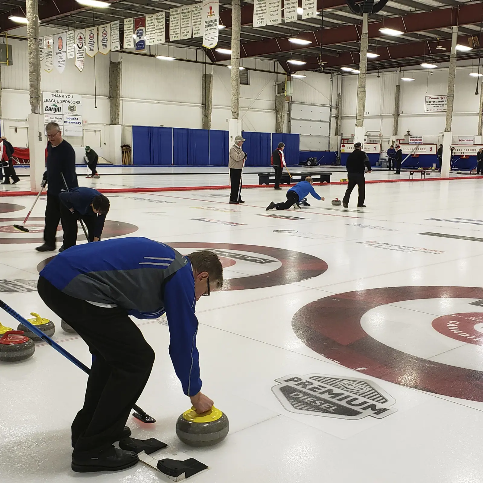 Arenas and Curling Rink | City of Yorkton